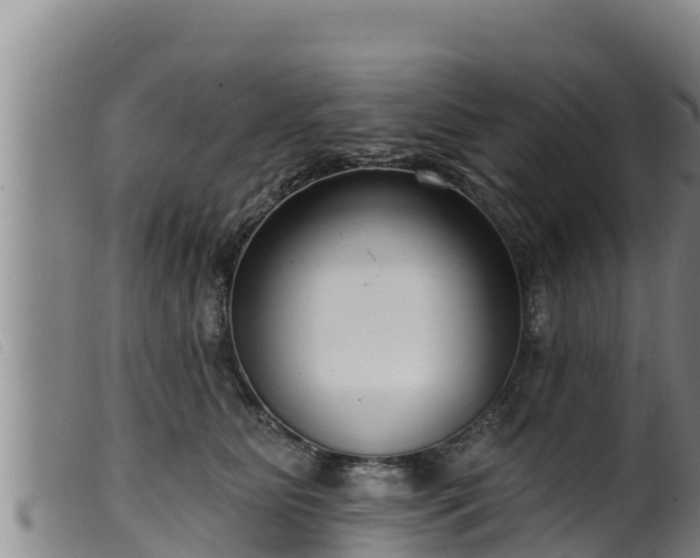 X0000099540515200805231130