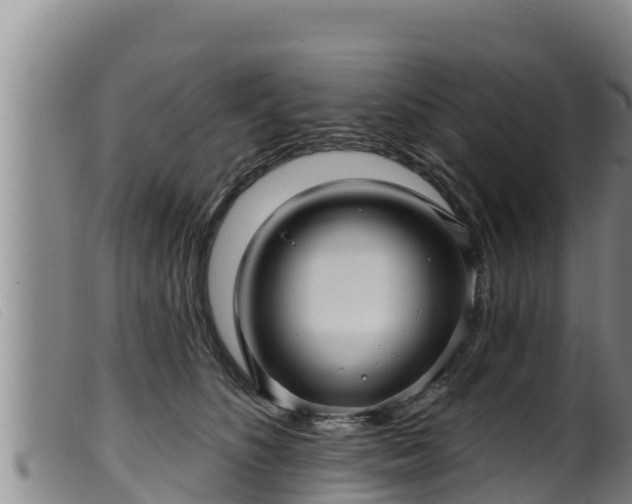 X0000099540516200805231130