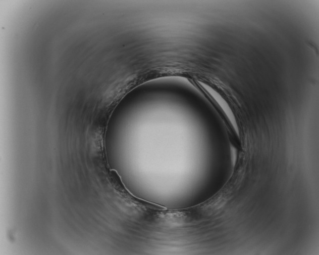 X0000099540517200805231130