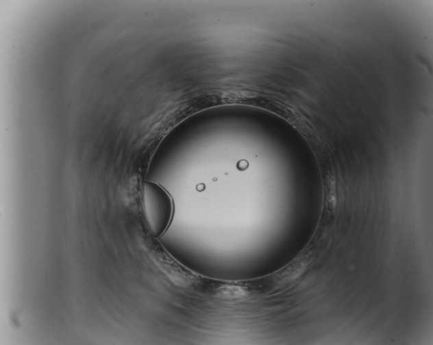 X0000099540519200805231130