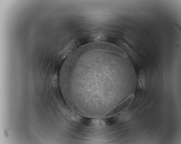 X0000099540520200805231130