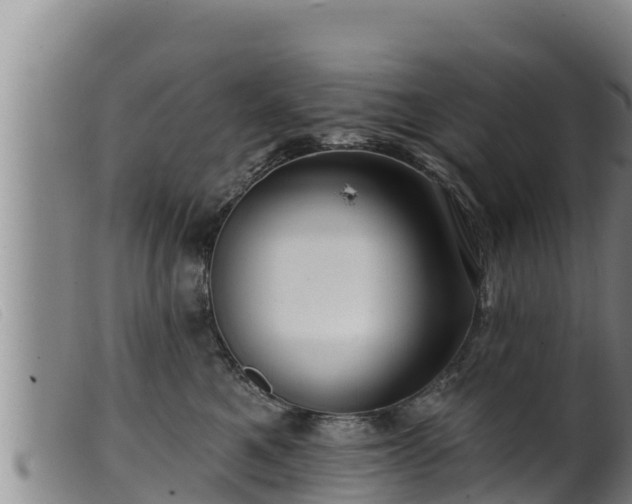 X0000099540521200805231130