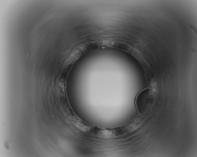 X0000099540522200805231130