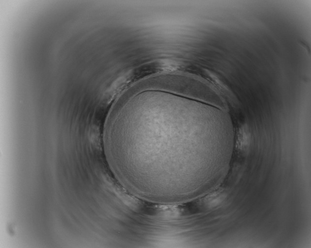 X0000099540524200805231130