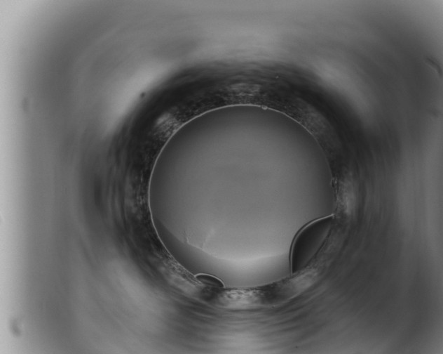 X0000099540526200805231130