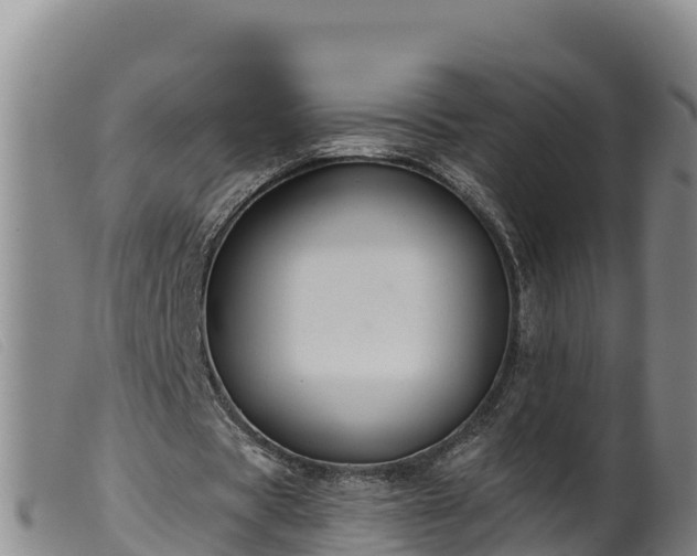 X0000099540529200805231129