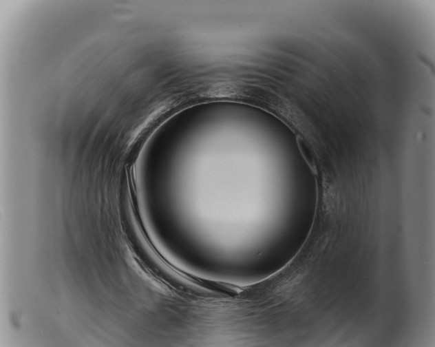 X0000099540530200805231129