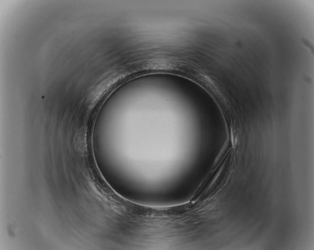 X0000099540531200805231129