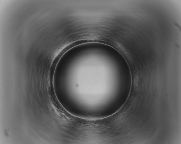 X0000099540532200805231129