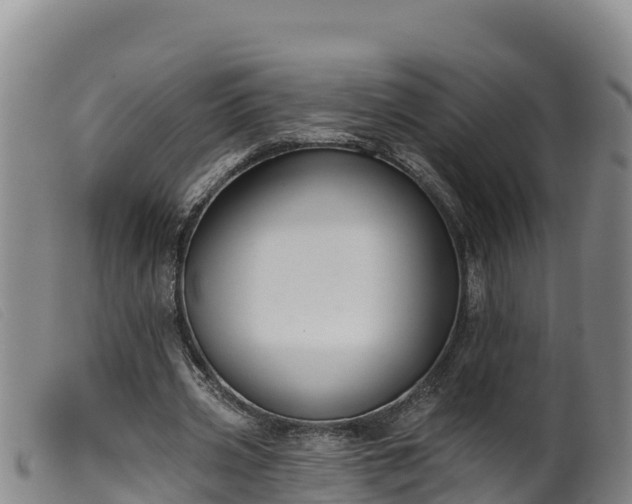 X0000099540533200805231129