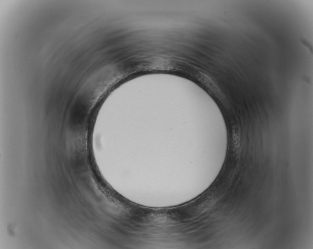 X0000099540534200805231129