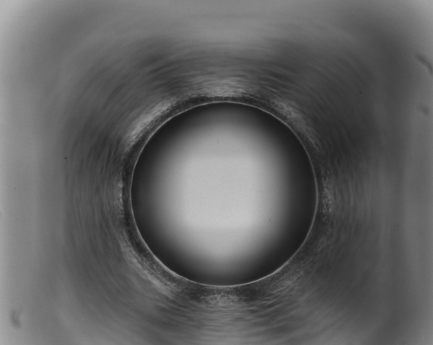 X0000099540535200805231129