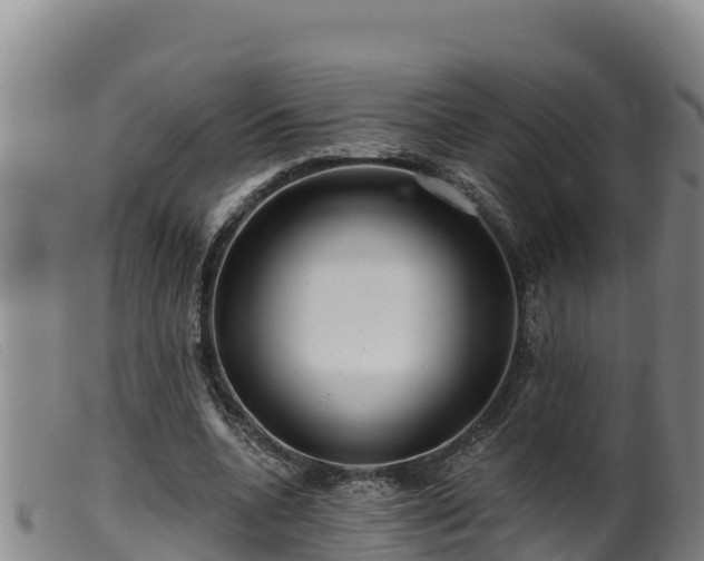 X0000099540536200805231129