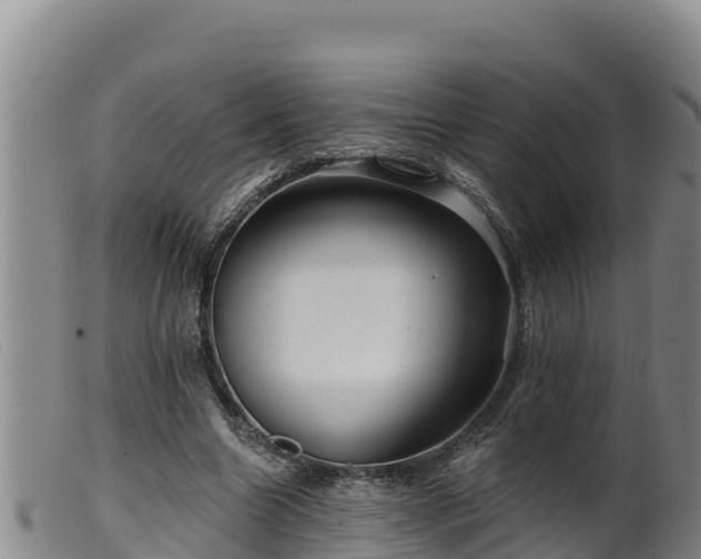 X0000099540538200805231129