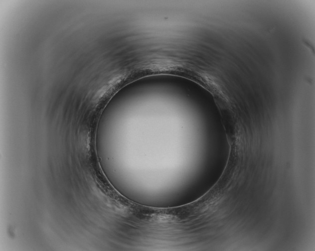 X0000099540539200805231129