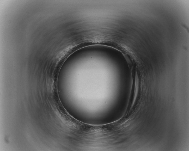 X0000099540540200805231129