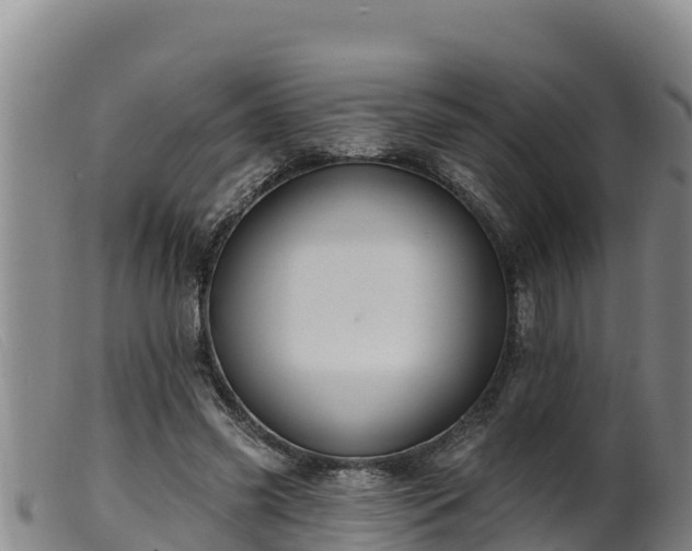 X0000099540541200805231129