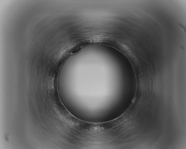 X0000099540543200805231129