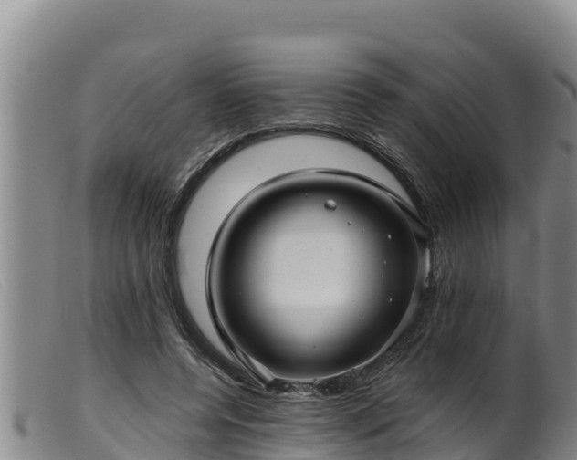 X0000099540544200805231129