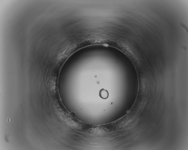 X0000099540545200805231129