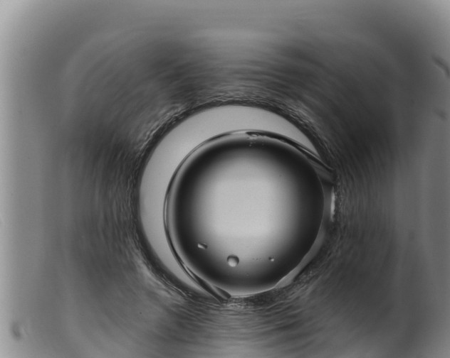 X0000099540546200805231129