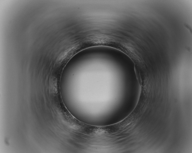 X0000099540547200805231129