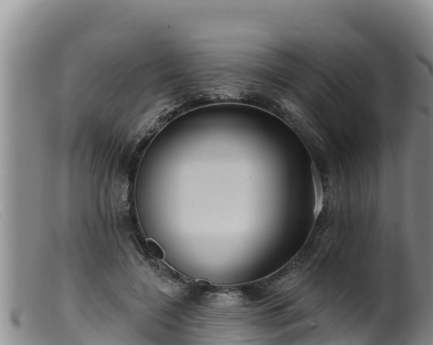 X0000099540548200805231129