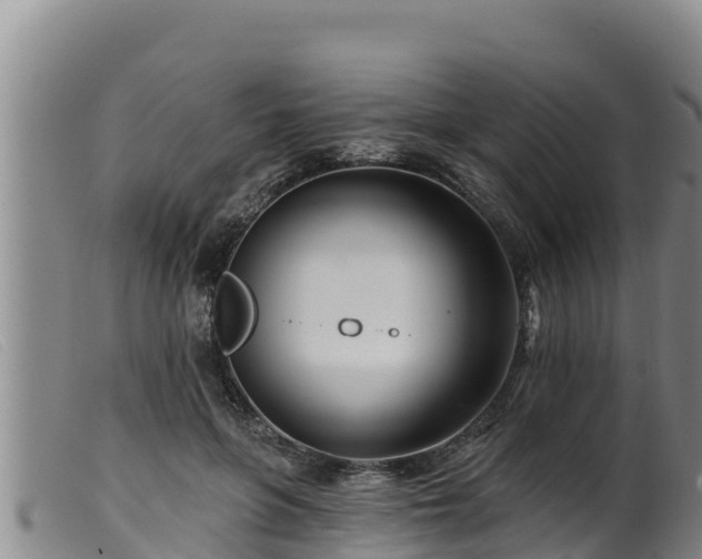 X0000099540551200805231129