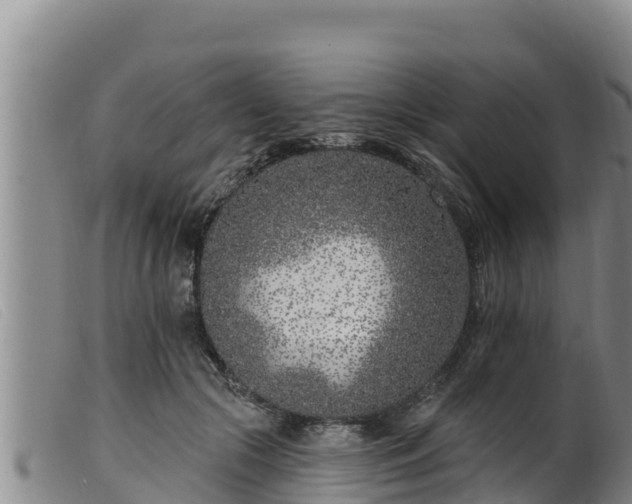 X0000099540553200805231129