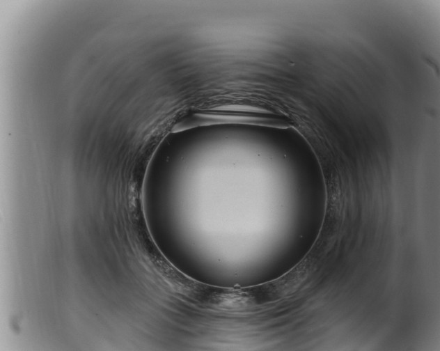 X0000099540555200805231129