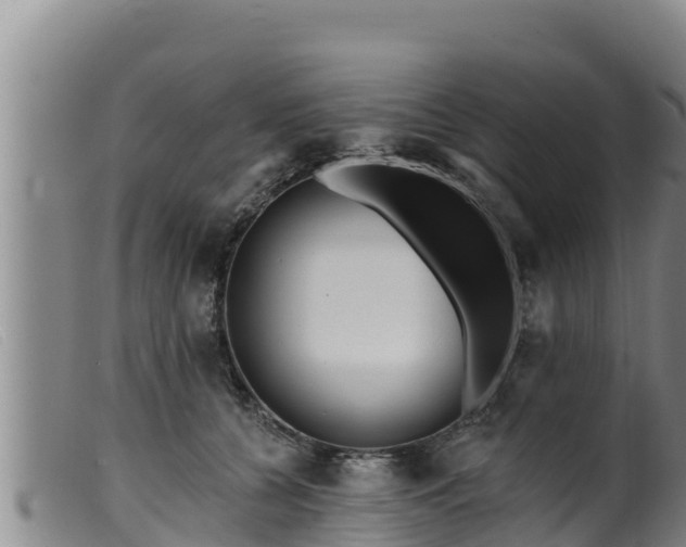 X0000099540560200805231129