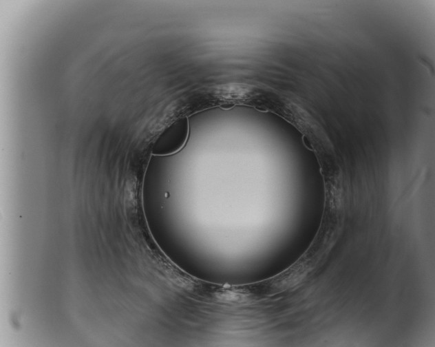 X0000099540561200805231129