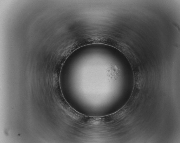 X0000099540563200805231129