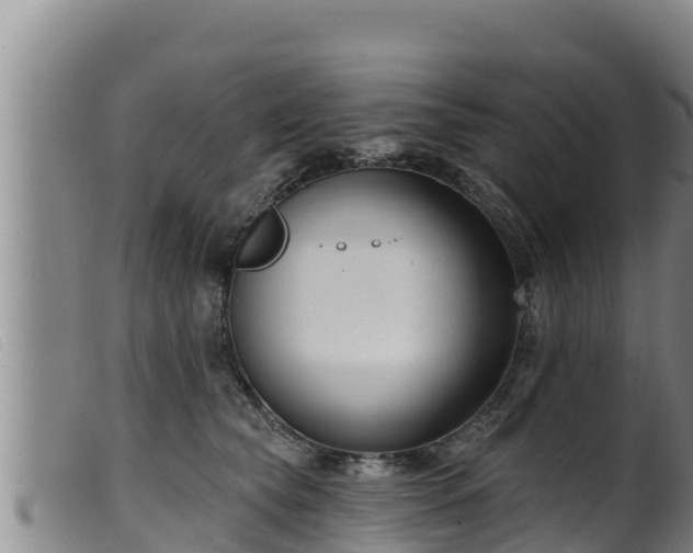 X0000099540565200805231130