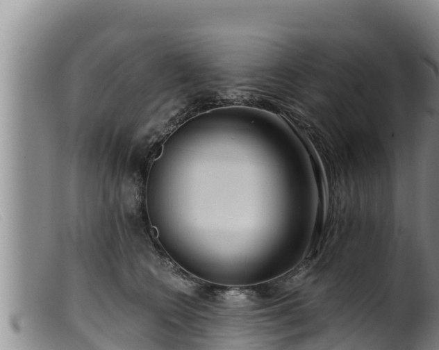 X0000099540566200805231130