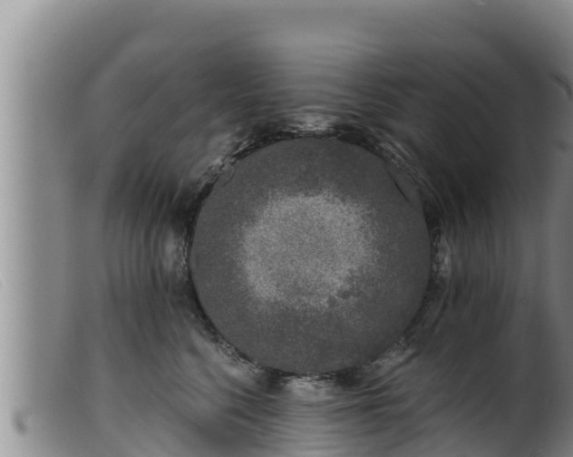 X0000099540568200805231130