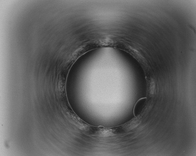 X0000099540569200805231130