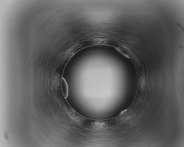 X0000099540570200805231130