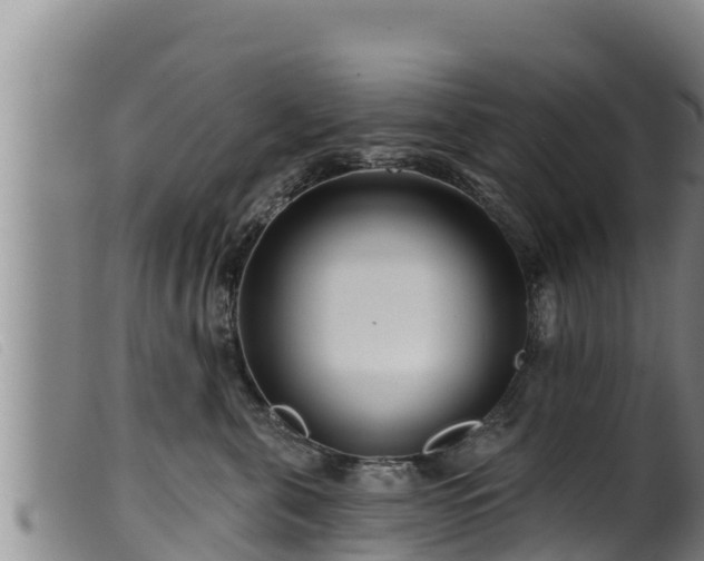 X0000099540571200805231130