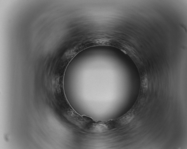 X0000099540572200805231130