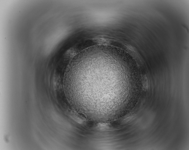 X0000099540573200805231130