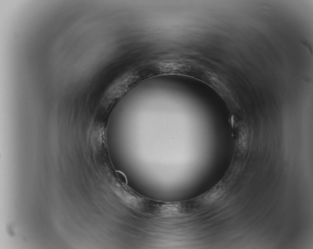 X0000099540574200805231130