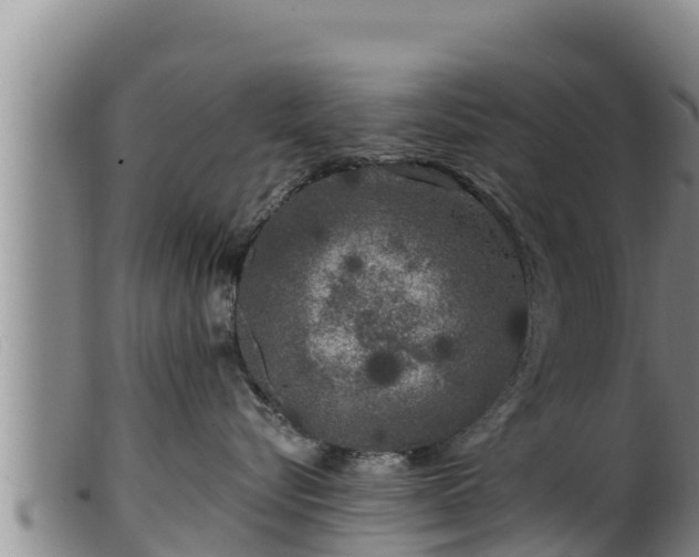 X0000099540576200805231130