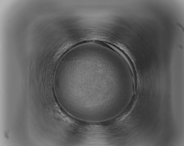 X0000099540577200805231129