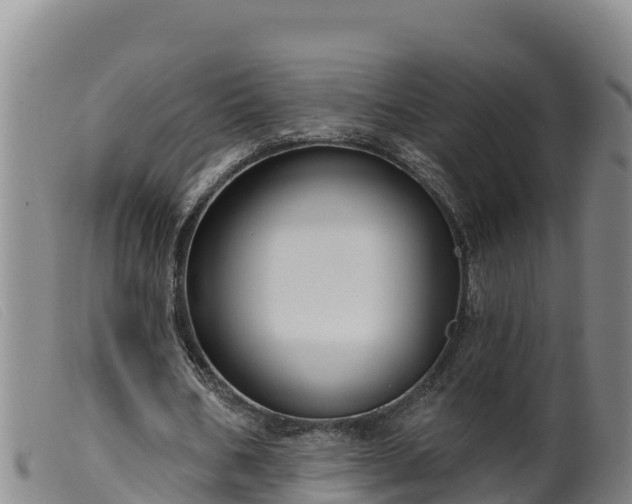 X0000099540578200805231129