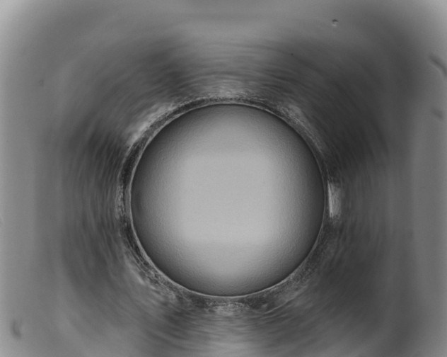 X0000099540579200805231129