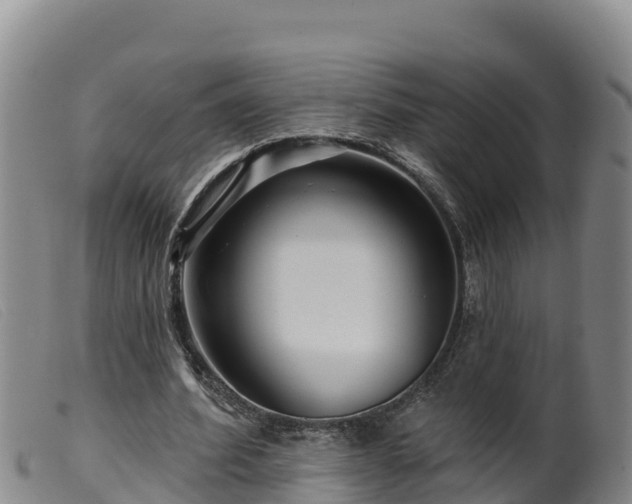 X0000099540580200805231129