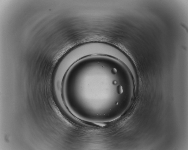 X0000099540581200805231129