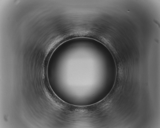 X0000099540582200805231129