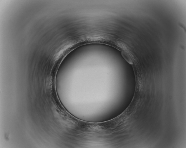 X0000099540583200805231129